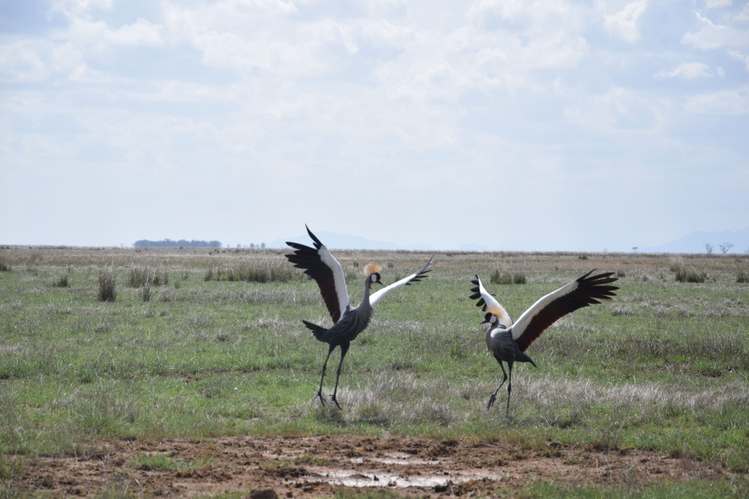 Kenya Camping Safari in the Aberdares: 2 Days of Authentic Wilderness and Waterfalls — photo 7