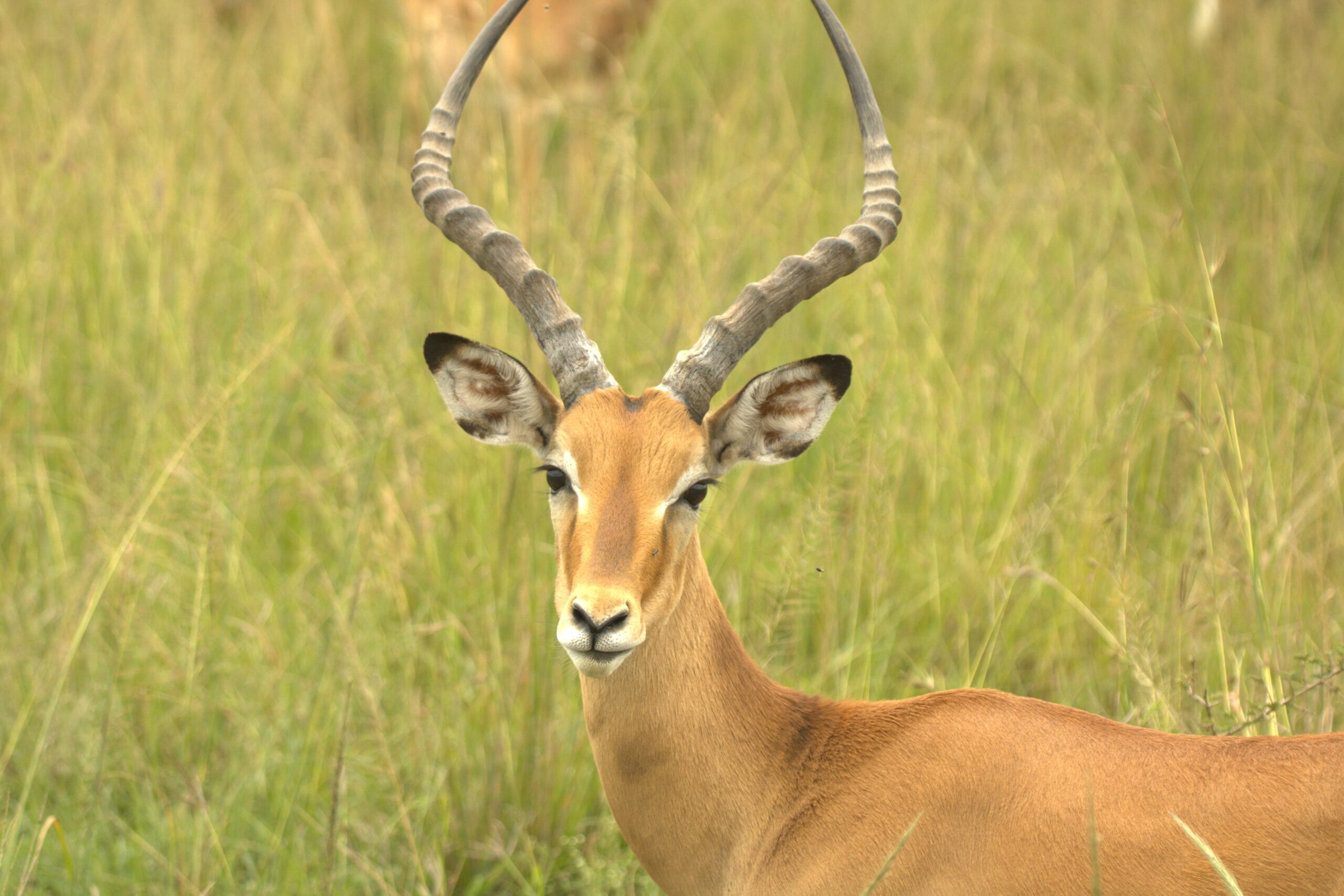 Hell's Gate Adventure with Rock Climbing Kenya: Thrilling 2-Day Cycling, Hiking & Camping Trip — photo 7