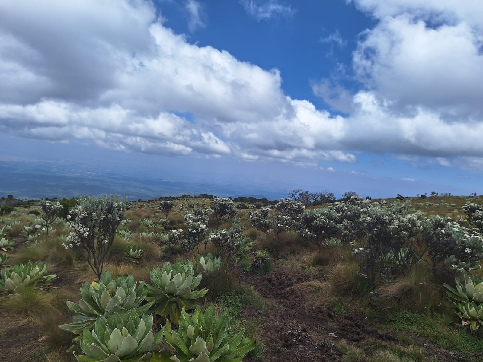 5-Day Mount Kenya Climb: Conquer Point Lenana via the Stunning Chogoria Route — photo 4