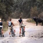 mountain biking kenya