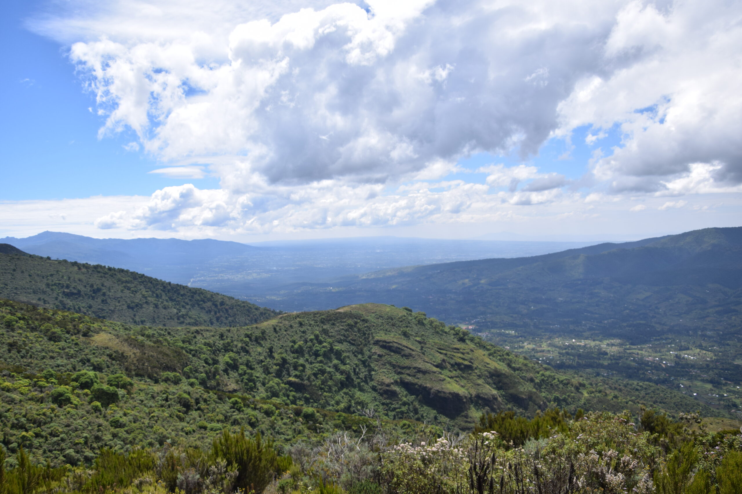 3-Day Aberdare National Park Hike: Summit Kipipiri & Discover the Magical Seven Ponds — photo 9
