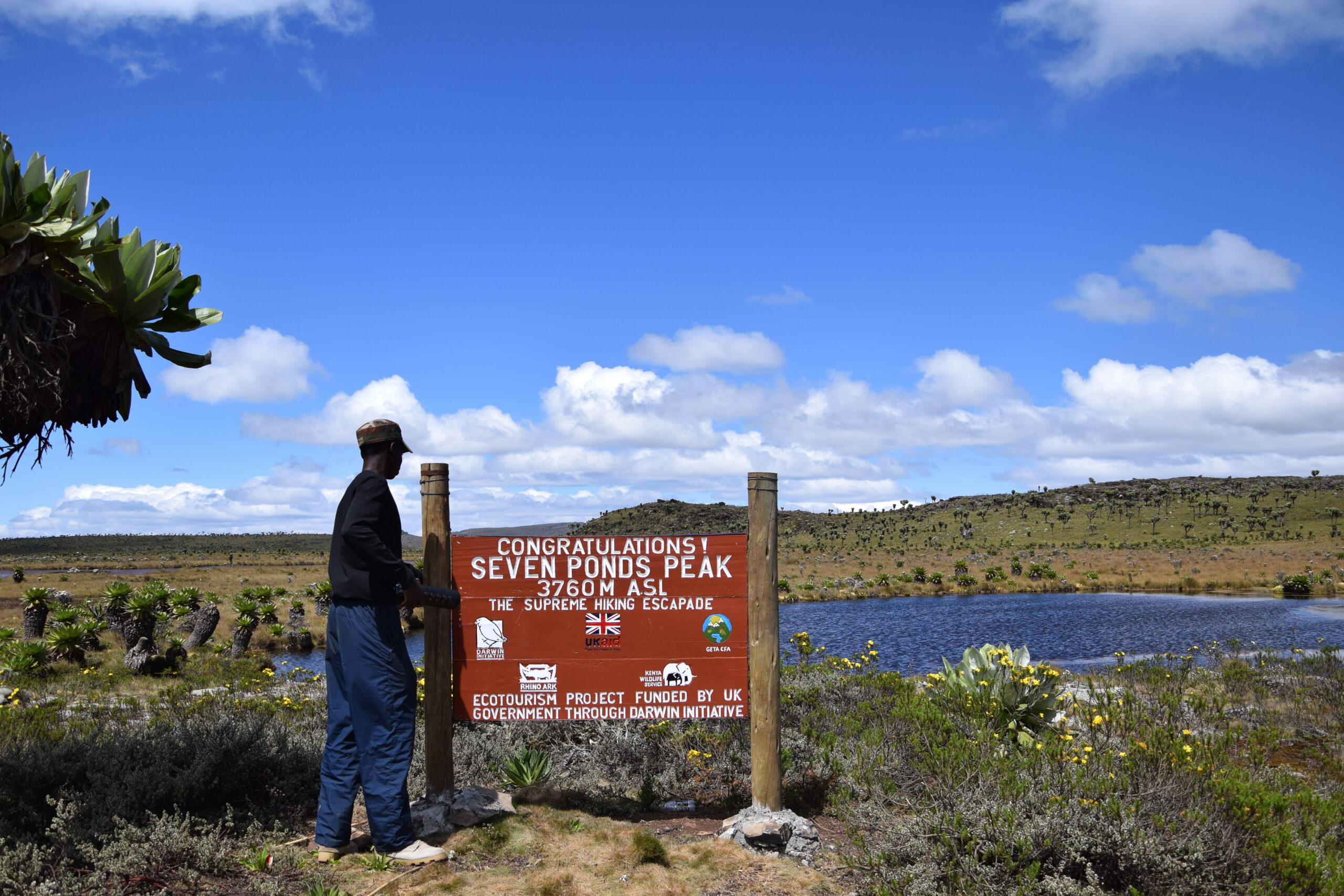 3-Day Aberdare National Park Hike: Summit Kipipiri & Discover the Magical Seven Ponds — photo 6