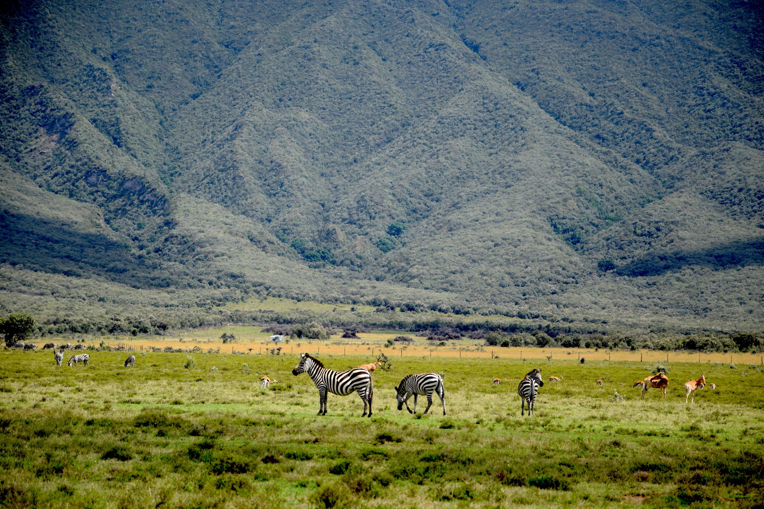 Crescent Island Kenya 2-Day Adventure: Horseback Mt. Longonot, Bike Hell's Gate & Walk with Wildlife — photo 14