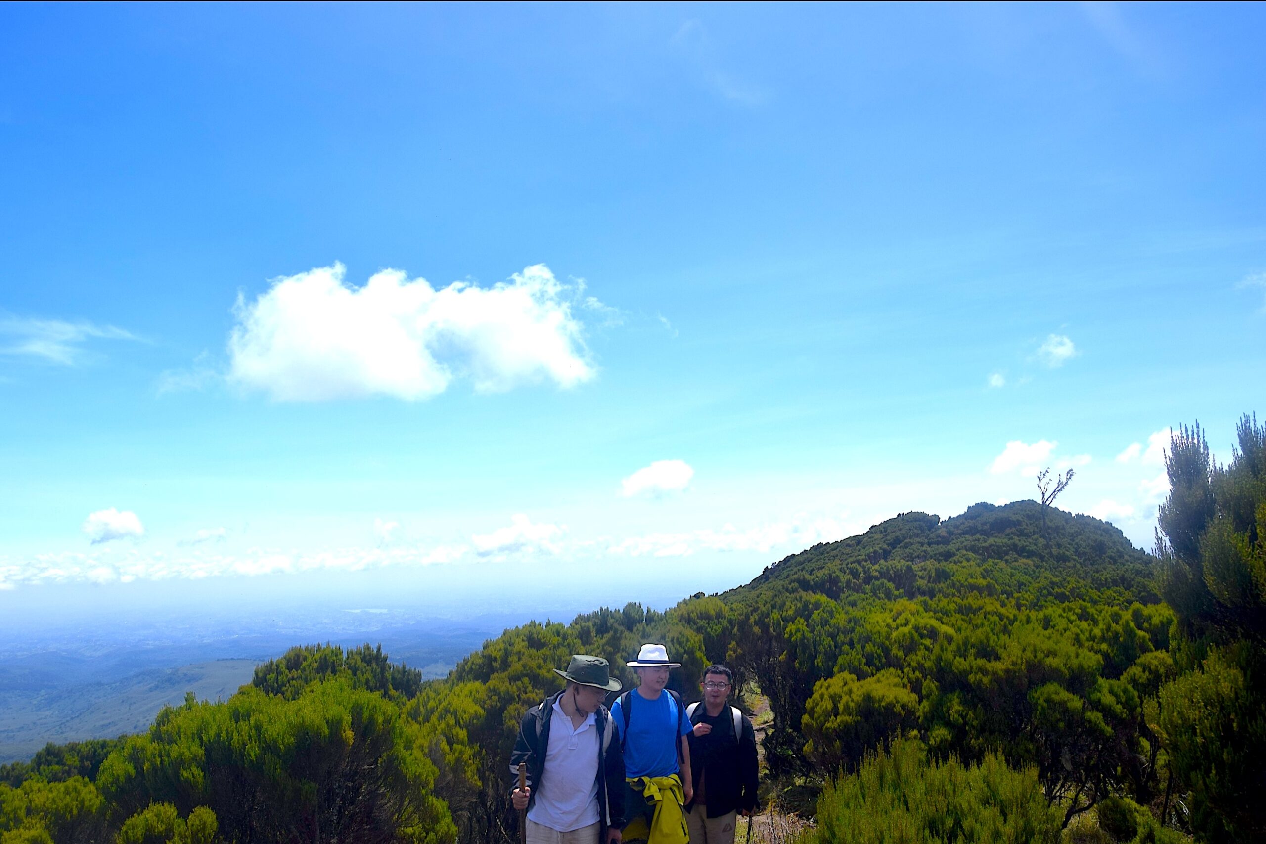 Best Day Hikes from Nairobi: Explore Elephant Hills on this 1-Day Adventure — photo 9