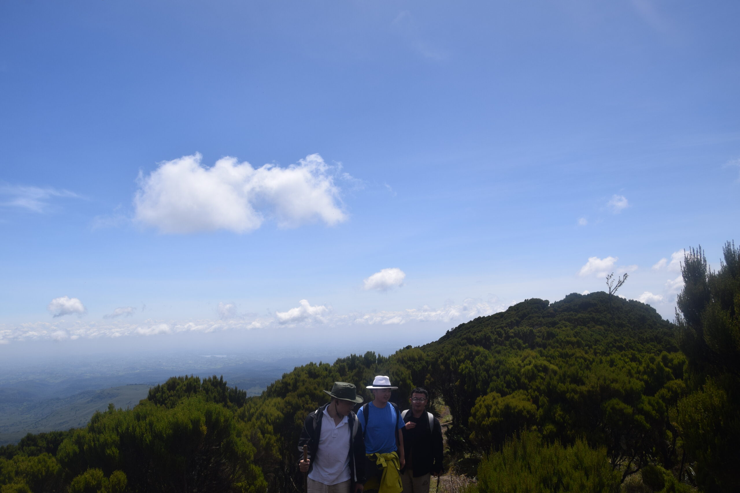 Best Day Hikes from Nairobi: Explore Elephant Hills on this 1-Day Adventure — photo 8