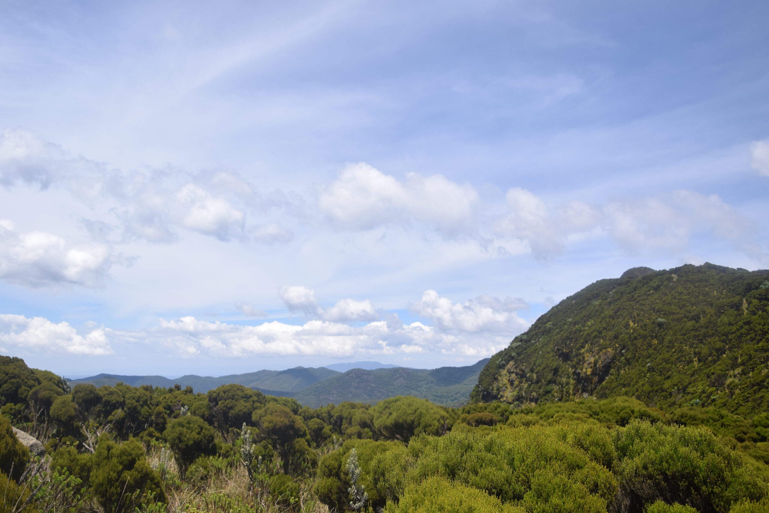 Best Day Hikes from Nairobi: Explore Elephant Hills on this 1-Day Adventure — photo 9