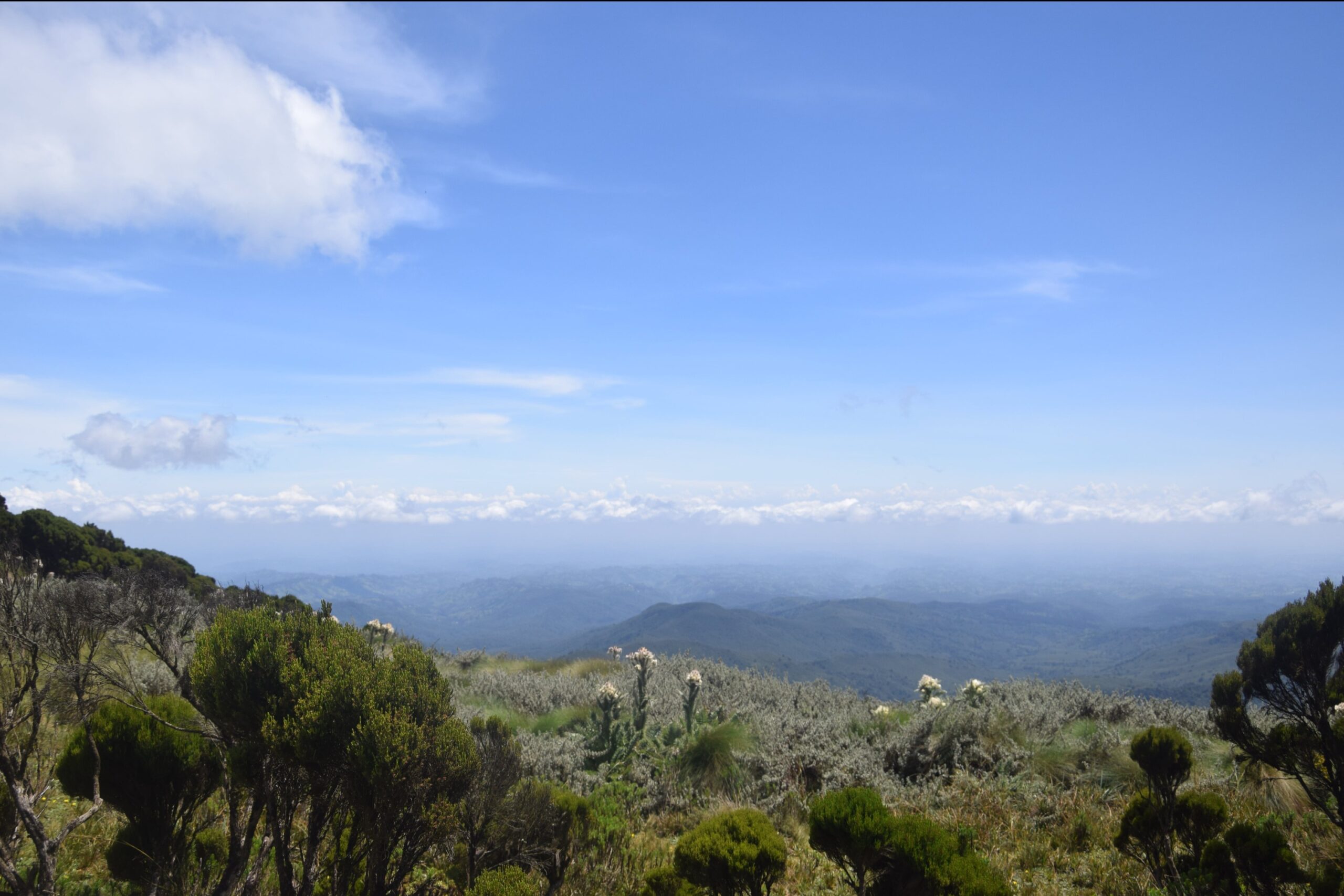 Best Day Hikes from Nairobi: Explore Elephant Hills on this 1-Day Adventure — photo 10