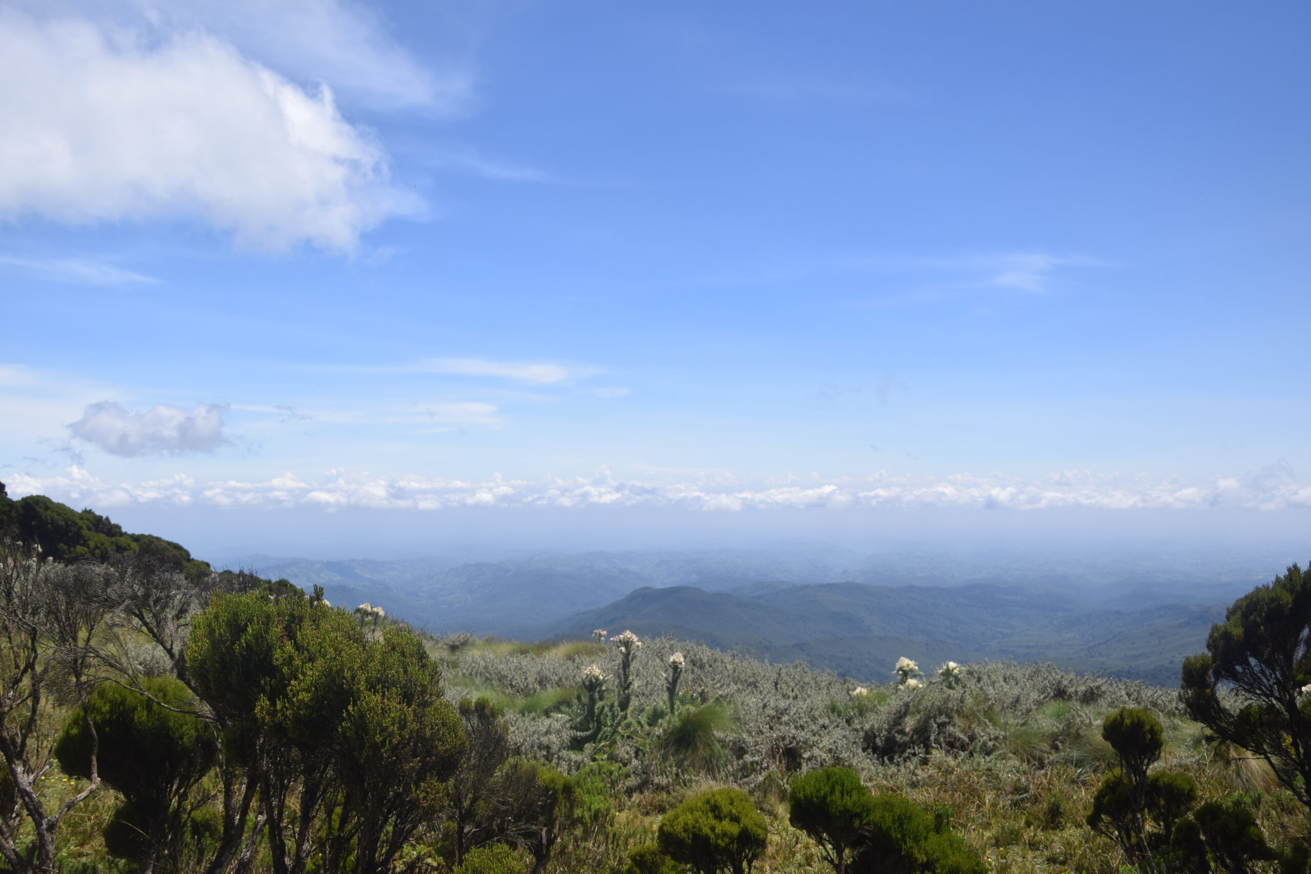 Best Day Hikes from Nairobi: Explore Elephant Hills on this 1-Day Adventure — photo 11