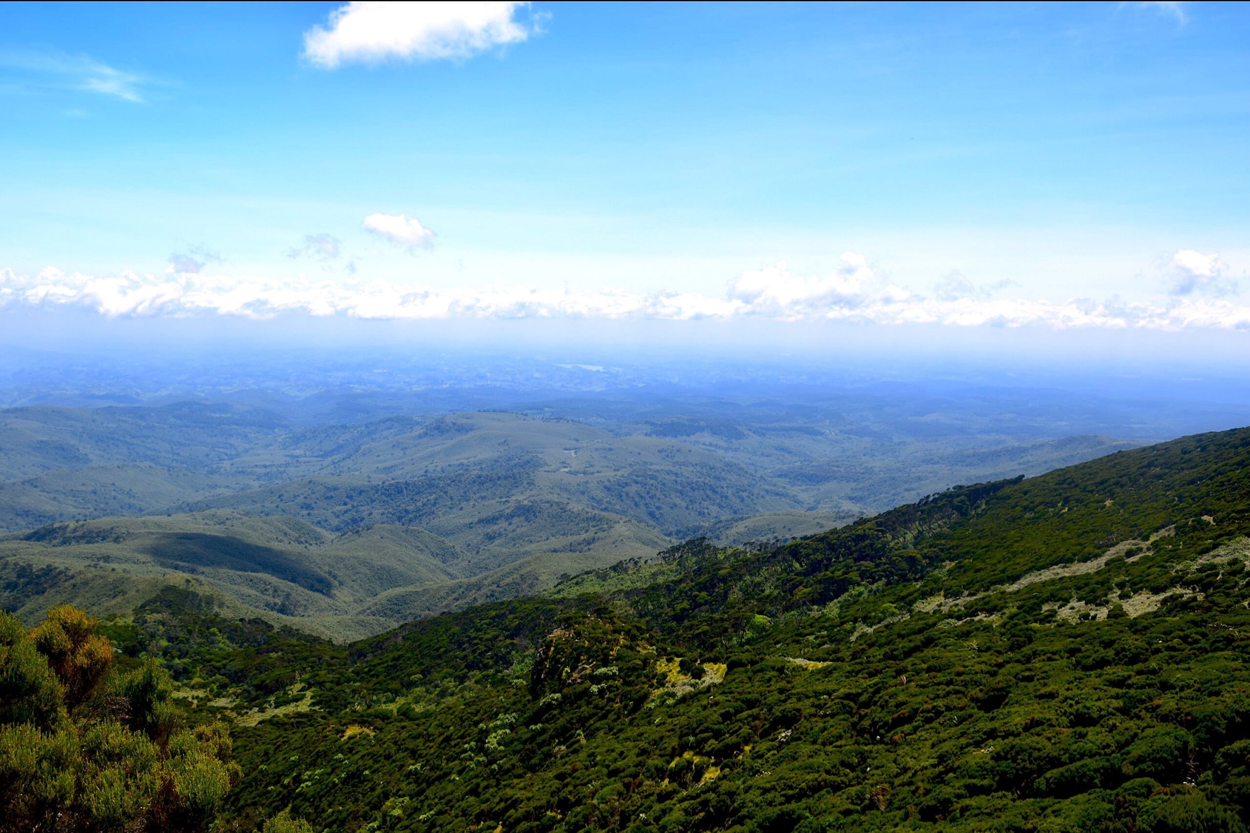 Best Day Hikes from Nairobi: Explore Elephant Hills on this 1-Day Adventure — photo 7