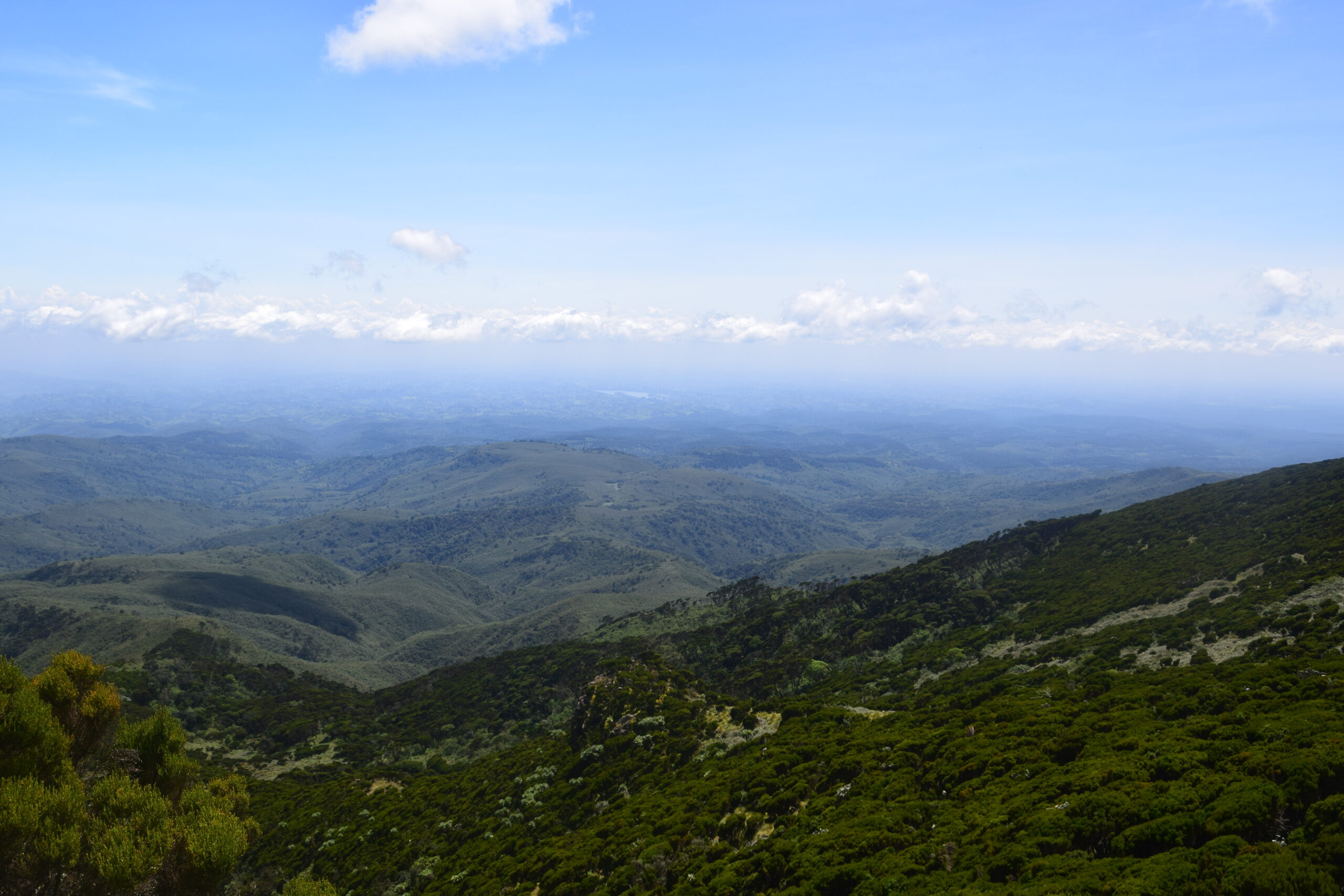 Best Day Hikes from Nairobi: Explore Elephant Hills on this 1-Day Adventure — photo 10