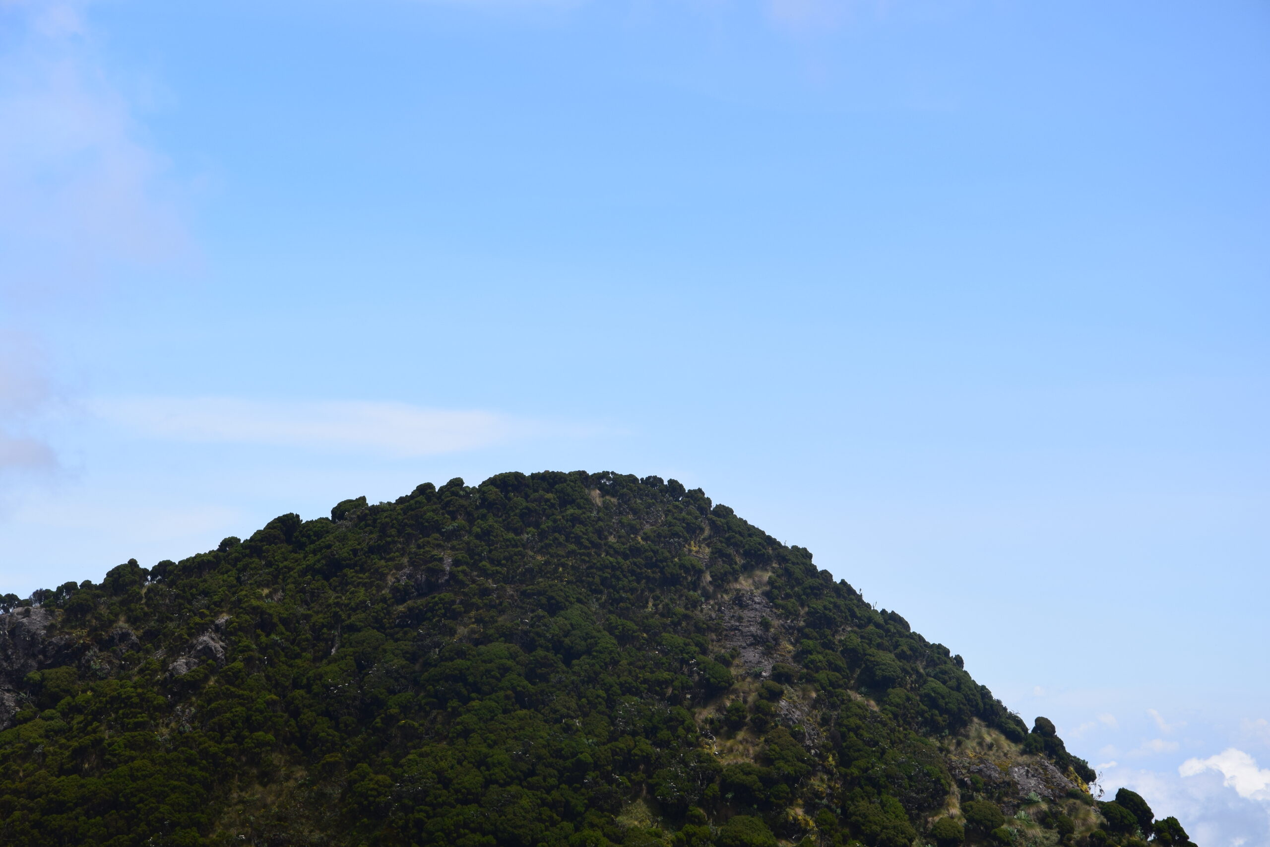 Best Day Hikes from Nairobi: Explore Elephant Hills on this 1-Day Adventure — photo 6