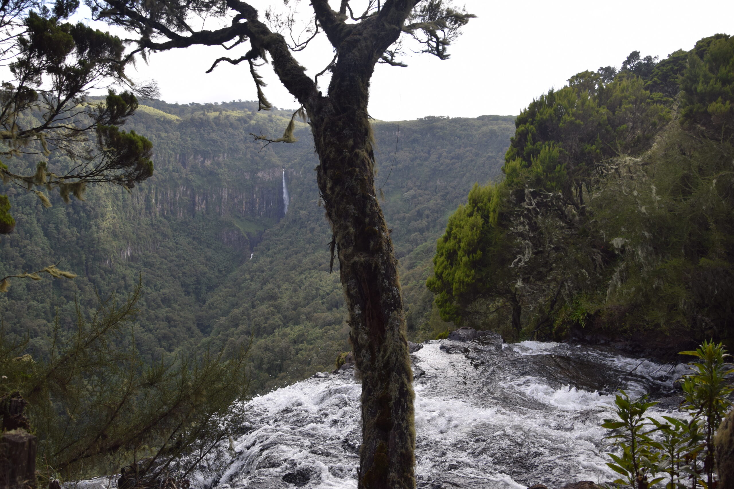 Kenya Safari Packages: Exclusive 6-Day Journey Through Samburu, Aberdares & Lake Naivasha — photo 10