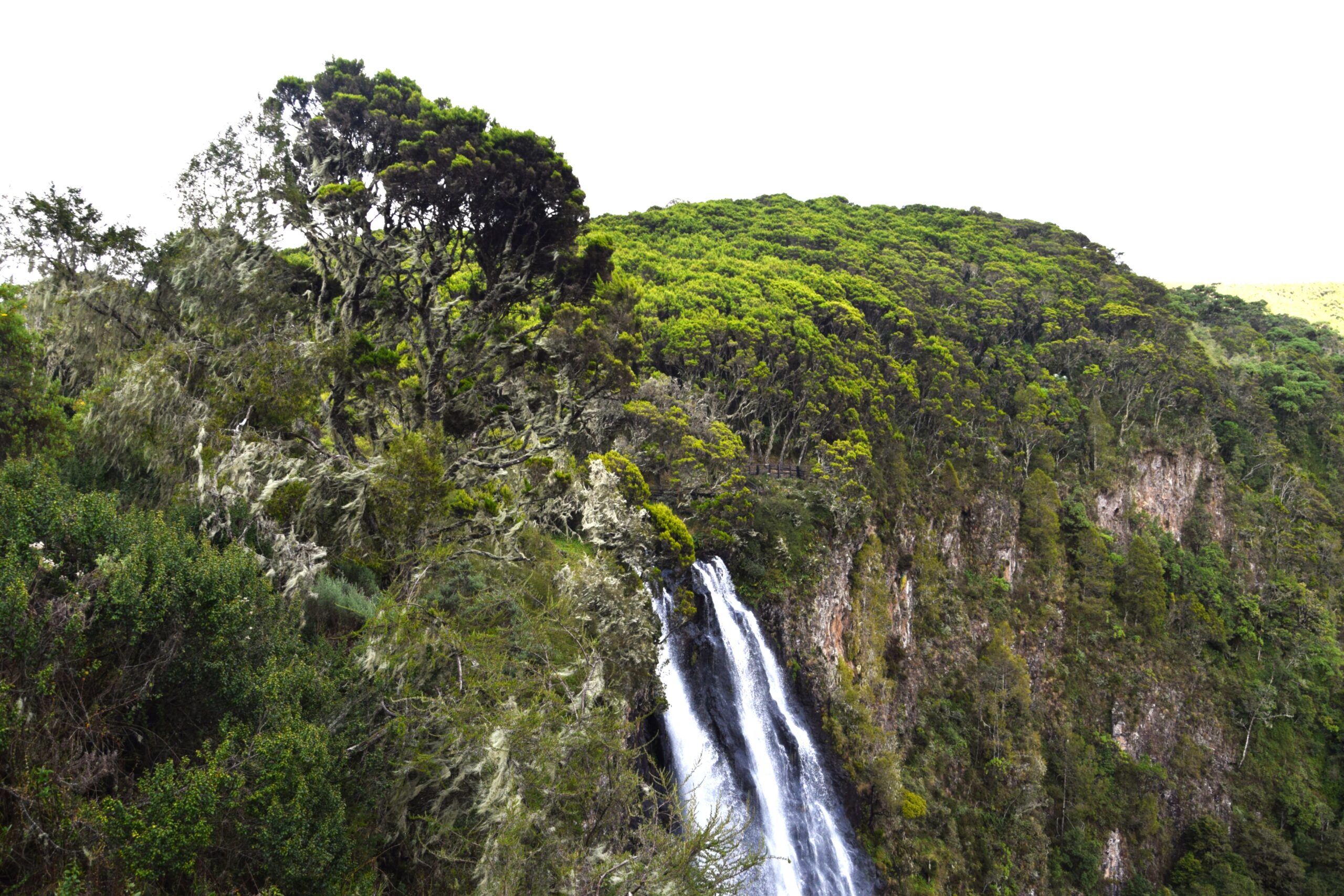 Kenya Camping Safari in the Aberdares: 2 Days of Authentic Wilderness and Waterfalls — photo 10