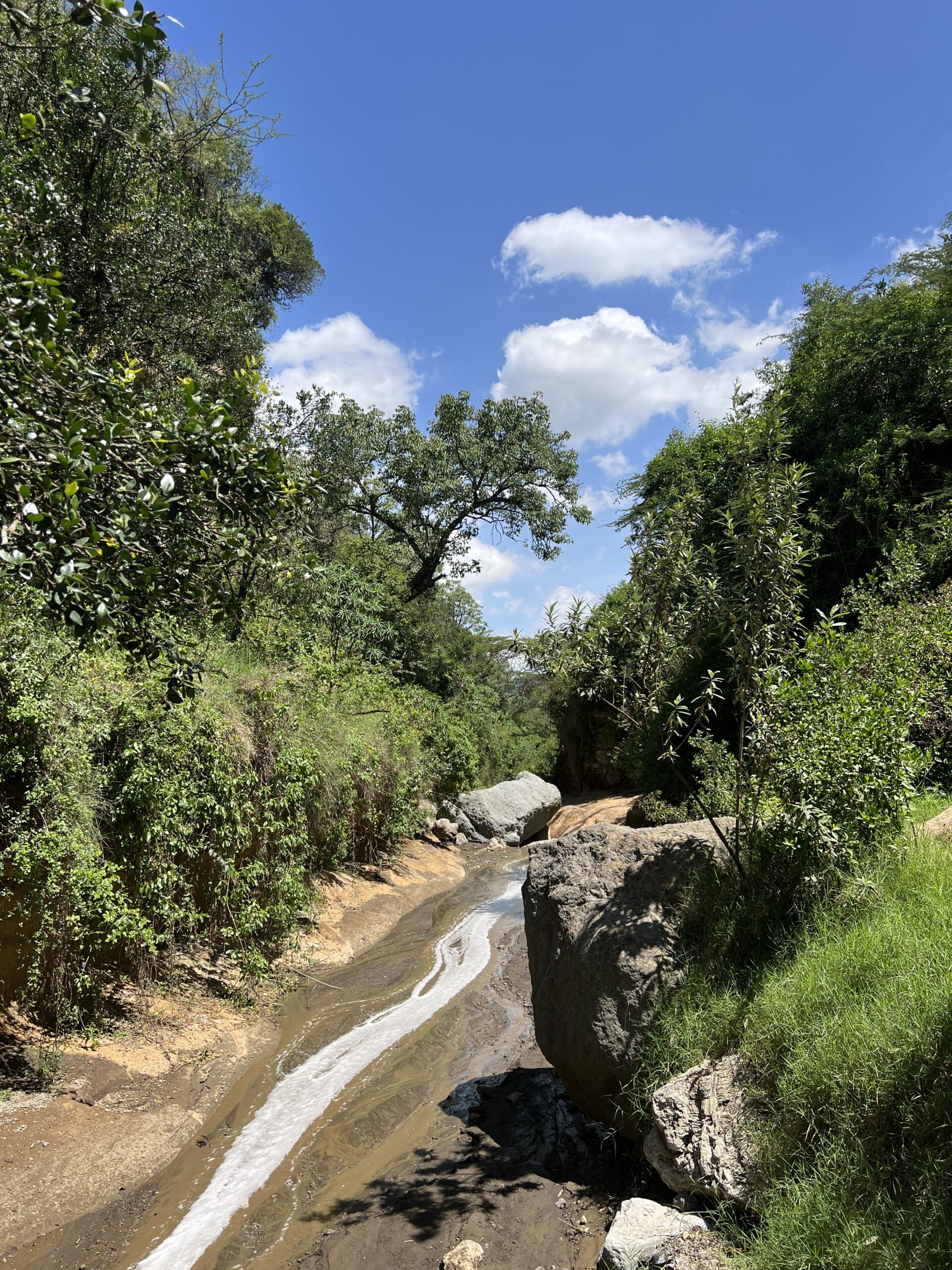Hell's Gate Adventure with Rock Climbing Kenya: Thrilling 2-Day Cycling, Hiking & Camping Trip — photo 8