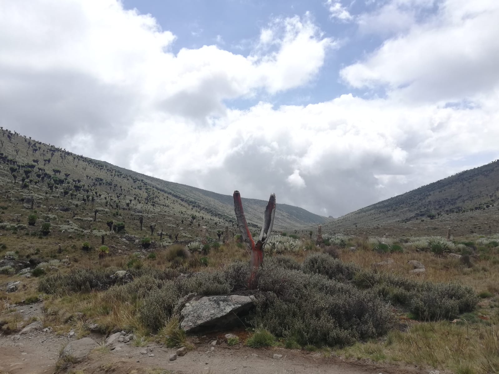 Mount Kenya Trekking Tour: Breathtaking 4-Day Expedition to Africa's Second-Highest Peak — photo 9