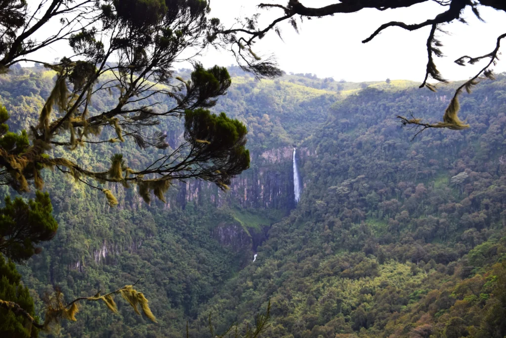 Aberdares waterfalls