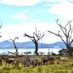 crescent island walking safari