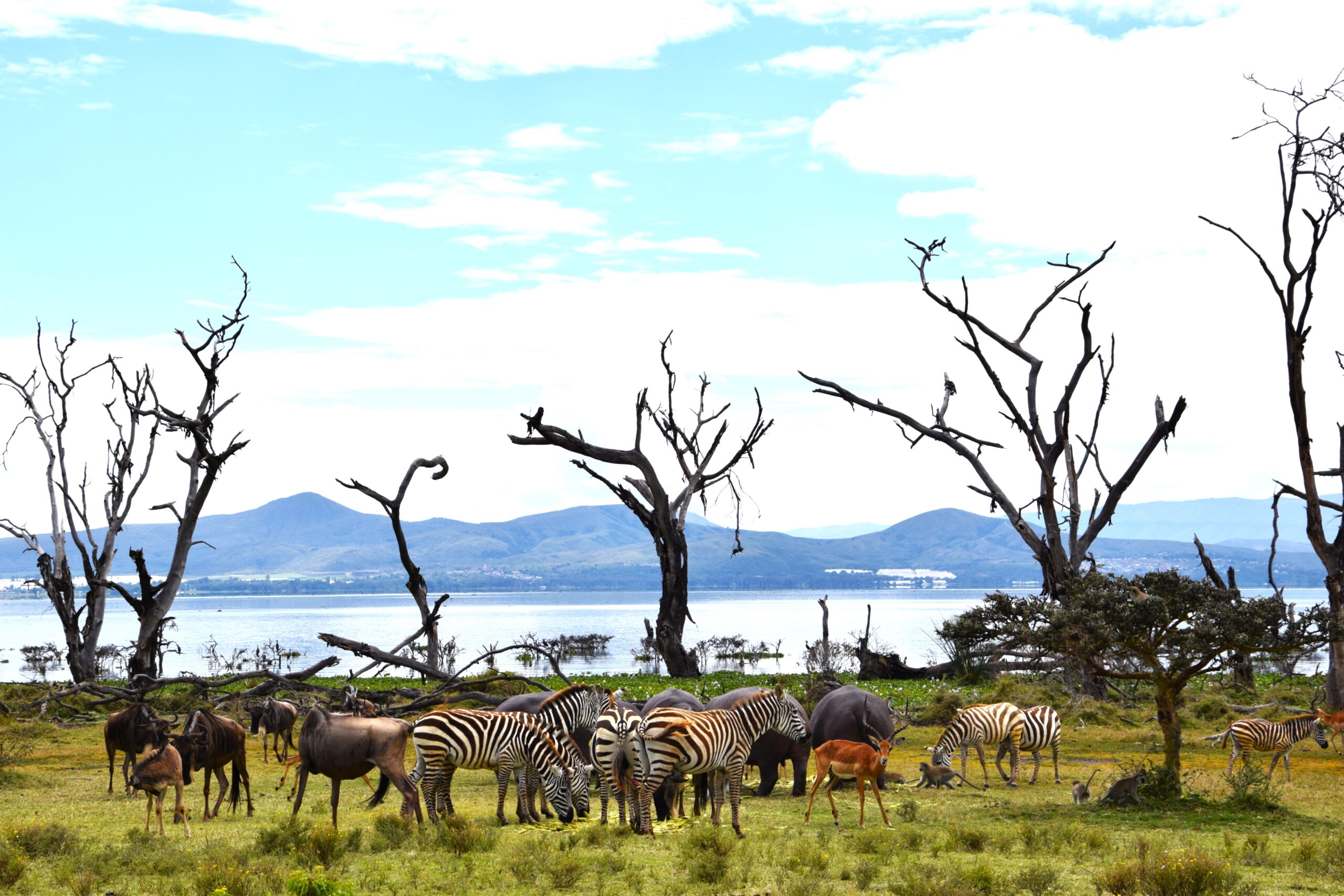 1-Day trip to Hells Gate Kenya & Crescent Island: Bicycle Safari and Wildlife Walks — photo 11