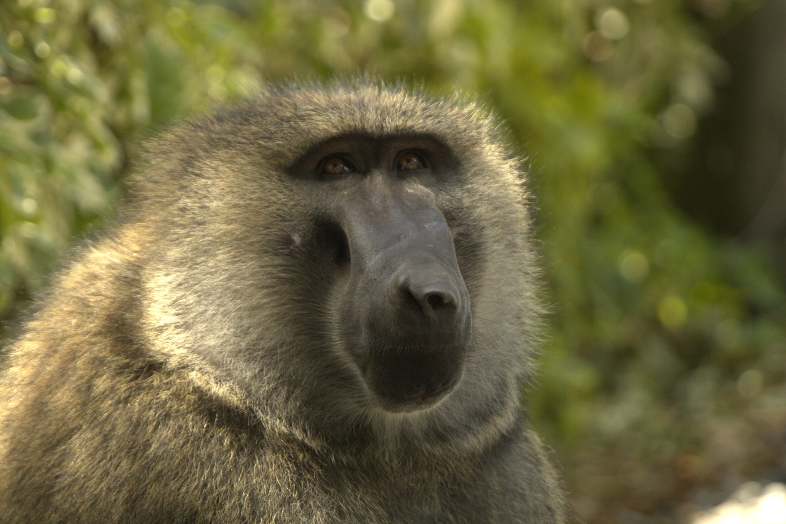 Mount Kipipiri & Table Mountain: Unforgettable 2-Day Trek Through Kenya's Hidden Mountain Paradise — photo 8