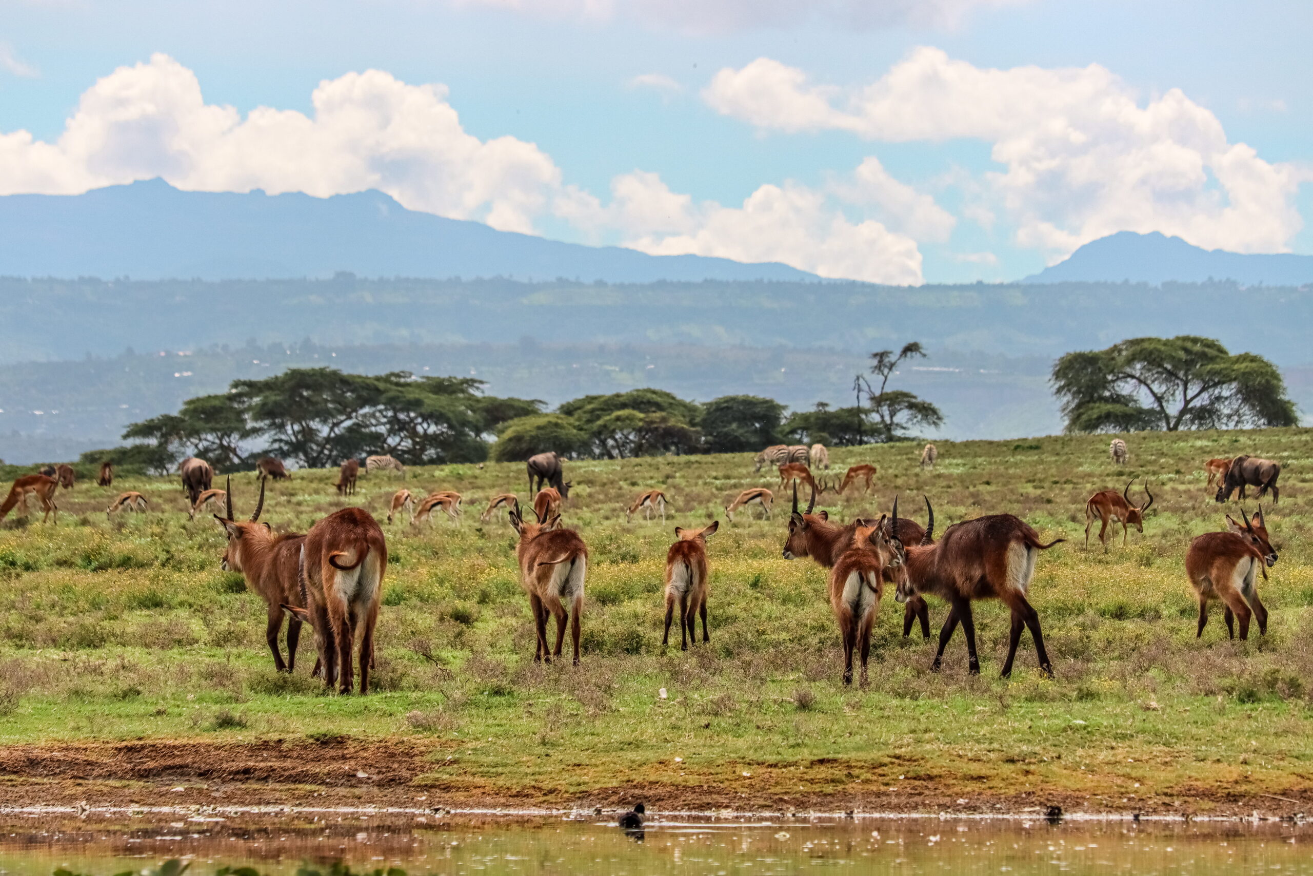 1-Day trip to Hells Gate Kenya & Crescent Island: Bicycle Safari and Wildlife Walks — photo 7