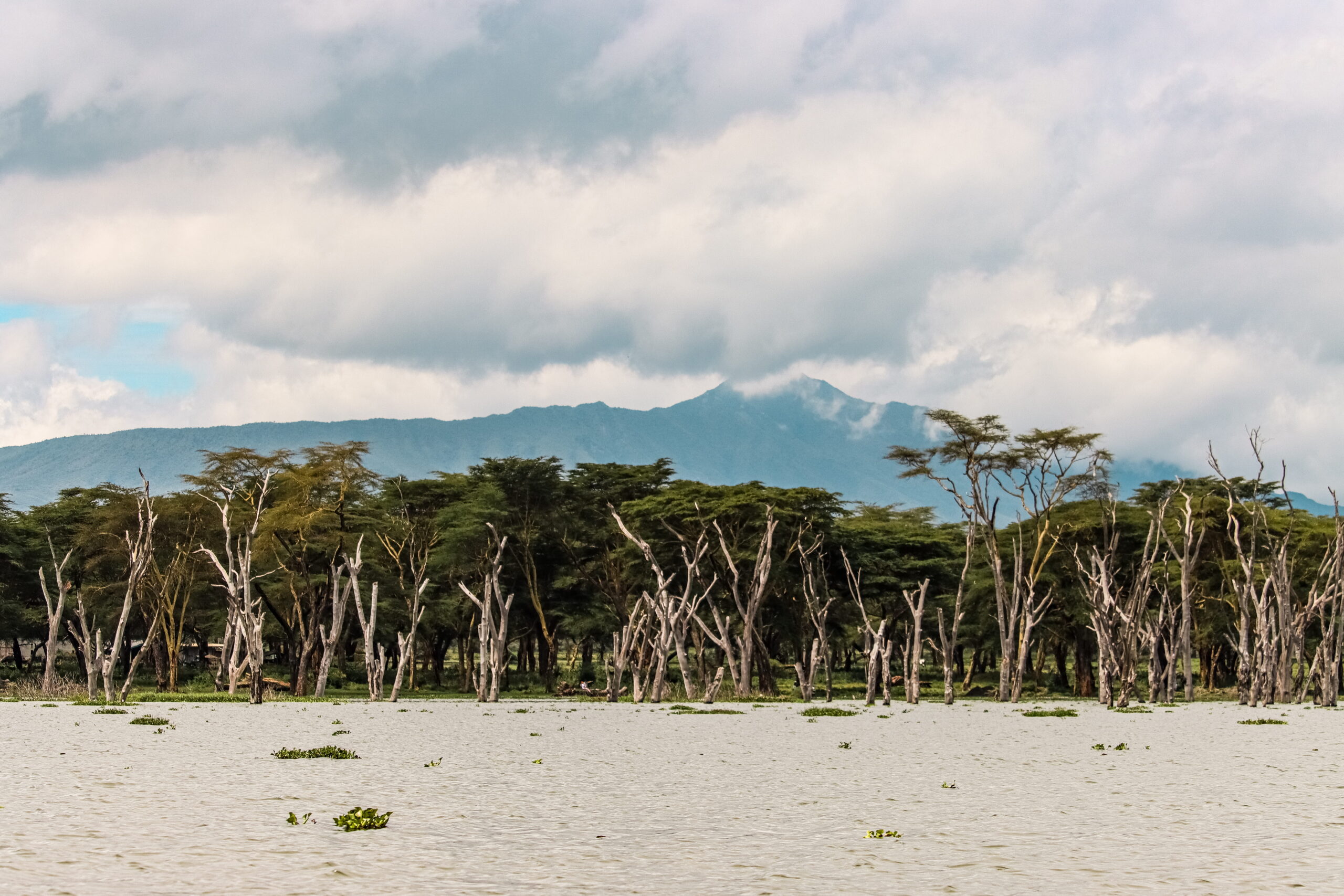 Hell's Gate Adventure with Rock Climbing Kenya: Thrilling 2-Day Cycling, Hiking & Camping Trip — photo 16