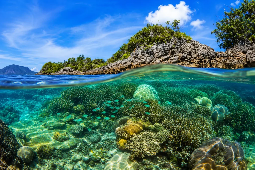 Kenya's Coast Watamu