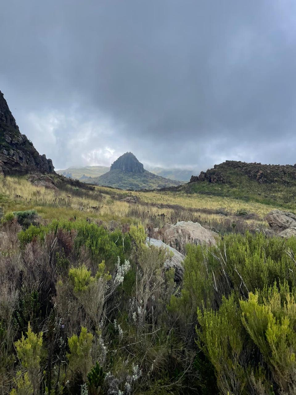 4-Day Aberdare Mountains Retreat: Mindful Journey with Hiking, Hot Springs & Majestic Waterfalls — photo 12
