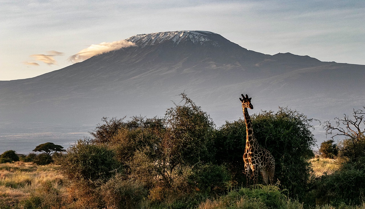 The Safest Countries in Africa to travel to