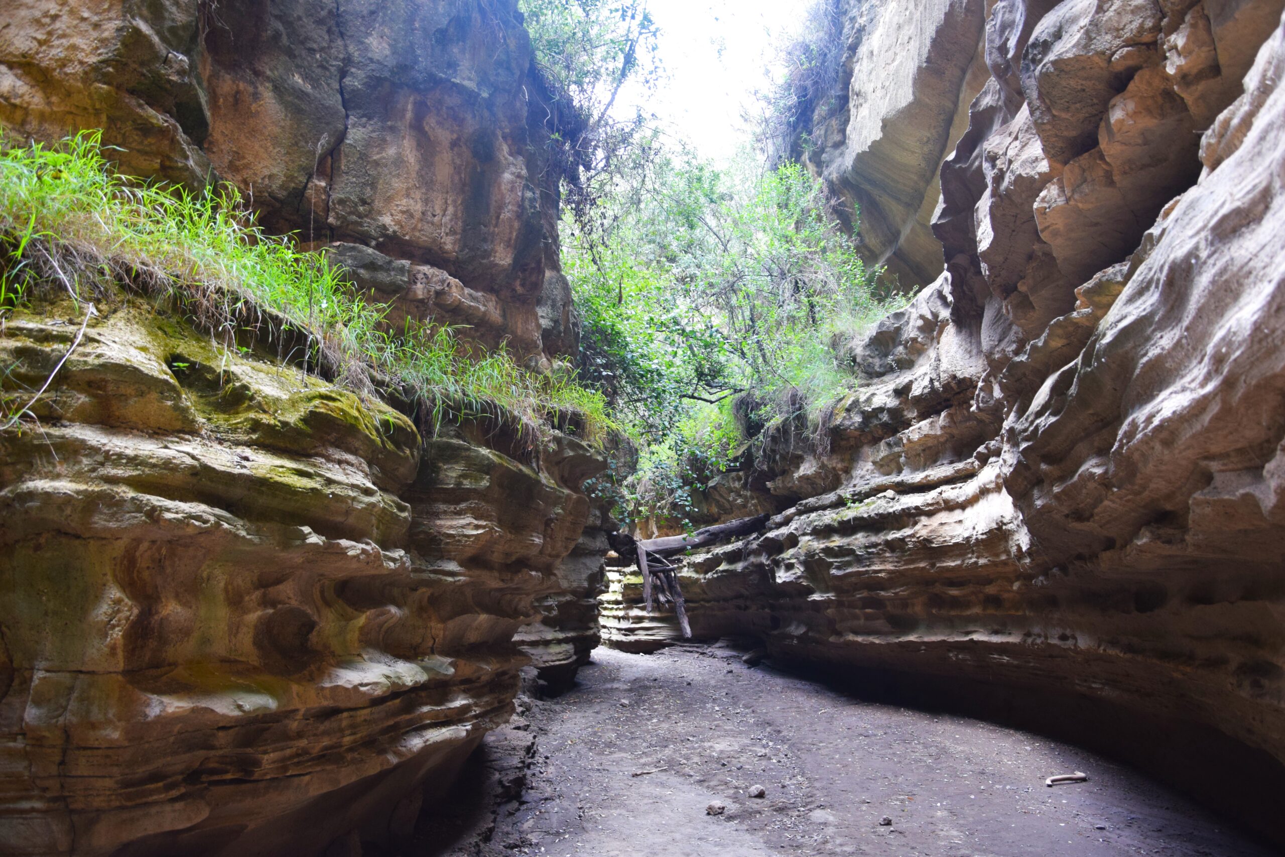 Ultimate Kayaking Lake Naivasha 1-Day Tour: Paddle, Bike & Hike Through Wild Kenya — photo 10