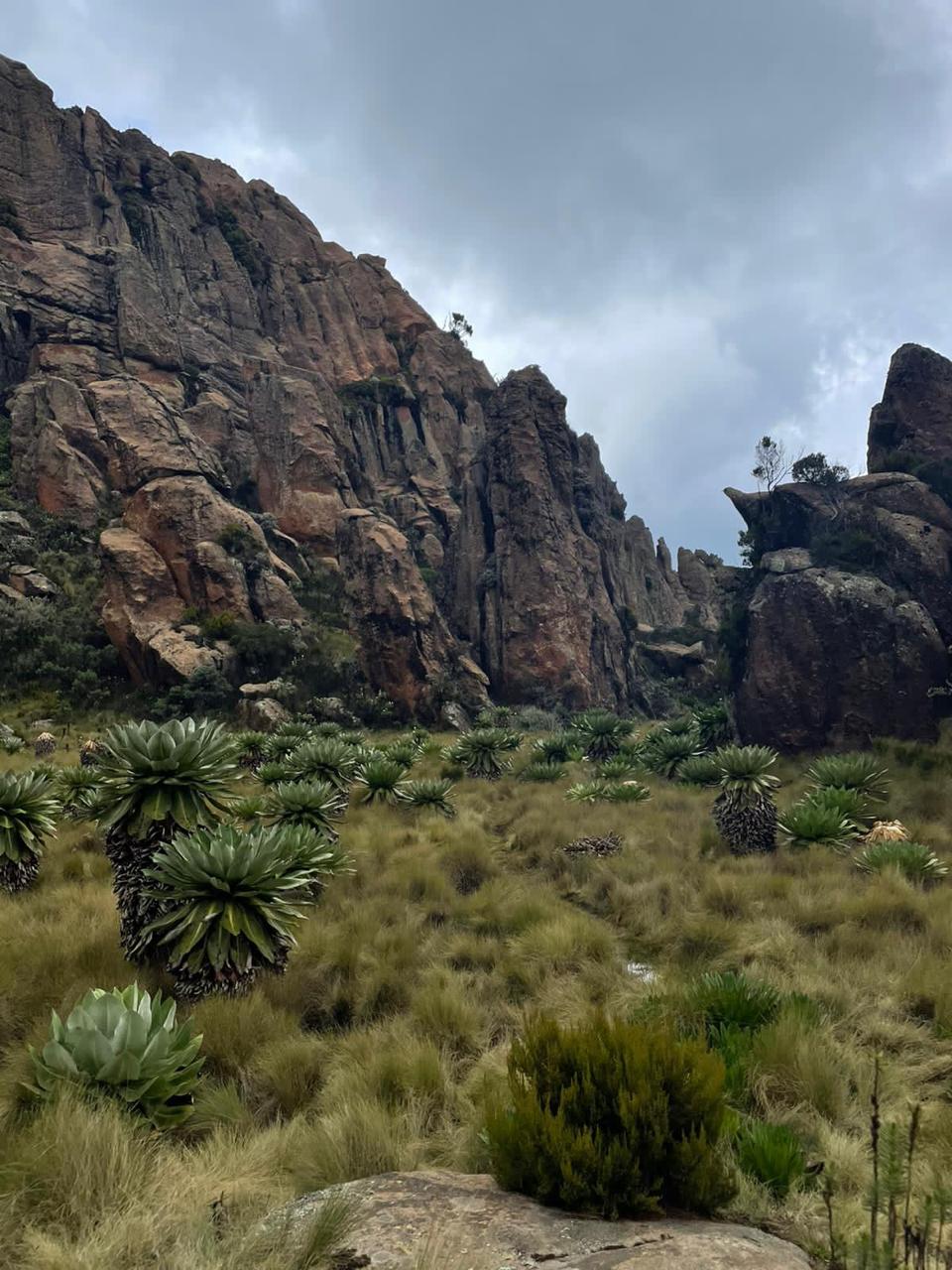 4-Day Aberdare Mountains Retreat: Mindful Journey with Hiking, Hot Springs & Majestic Waterfalls — photo 11