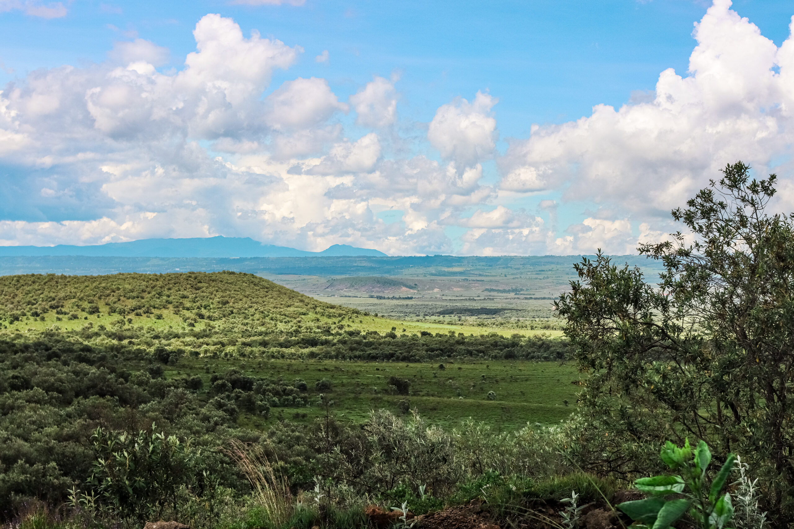 Crescent Island Kenya 2-Day Adventure: Horseback Mt. Longonot, Bike Hell's Gate & Walk with Wildlife — photo 15
