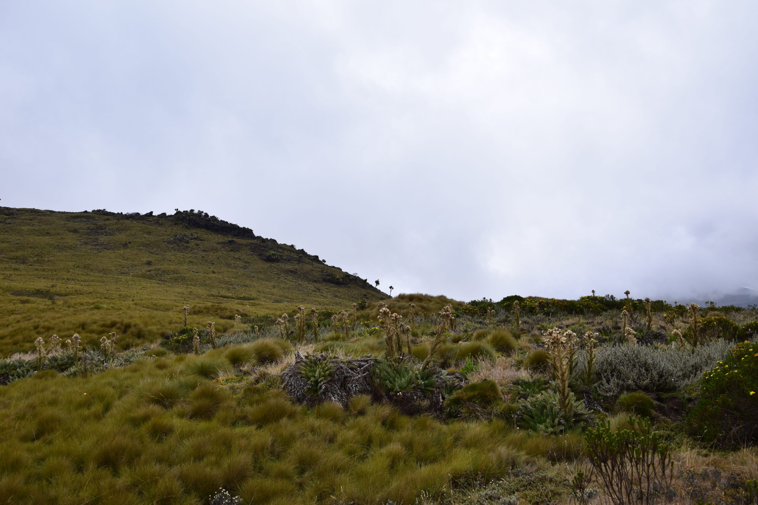 Aberdare Camping Bookings: Ultimate 4-Day Mountain Safari - Hike Satima, Explore Waterfalls & Spot Wildlife — photo 6