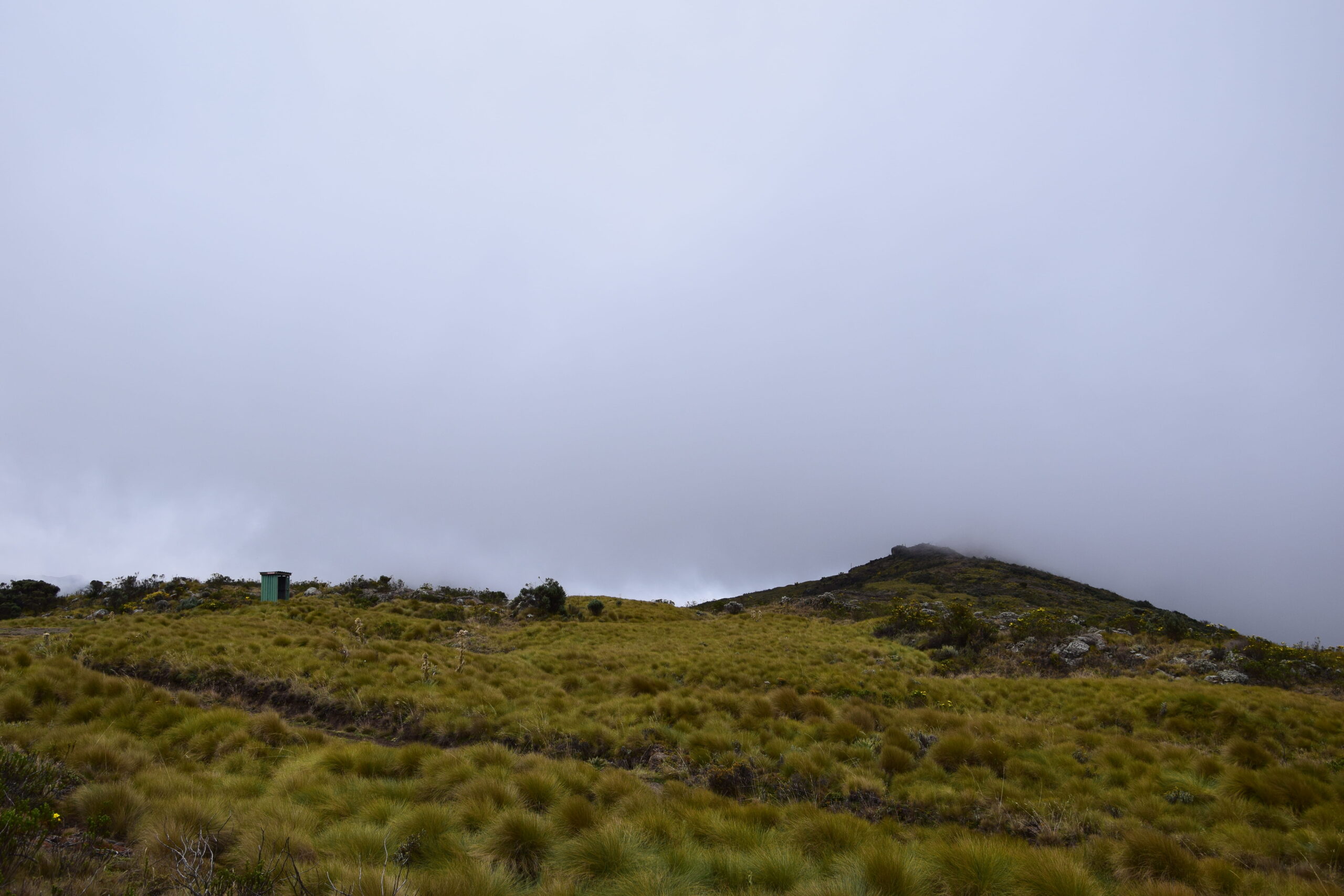 Aberdare Camping Bookings: Ultimate 4-Day Mountain Safari - Hike Satima, Explore Waterfalls & Spot Wildlife — photo 7