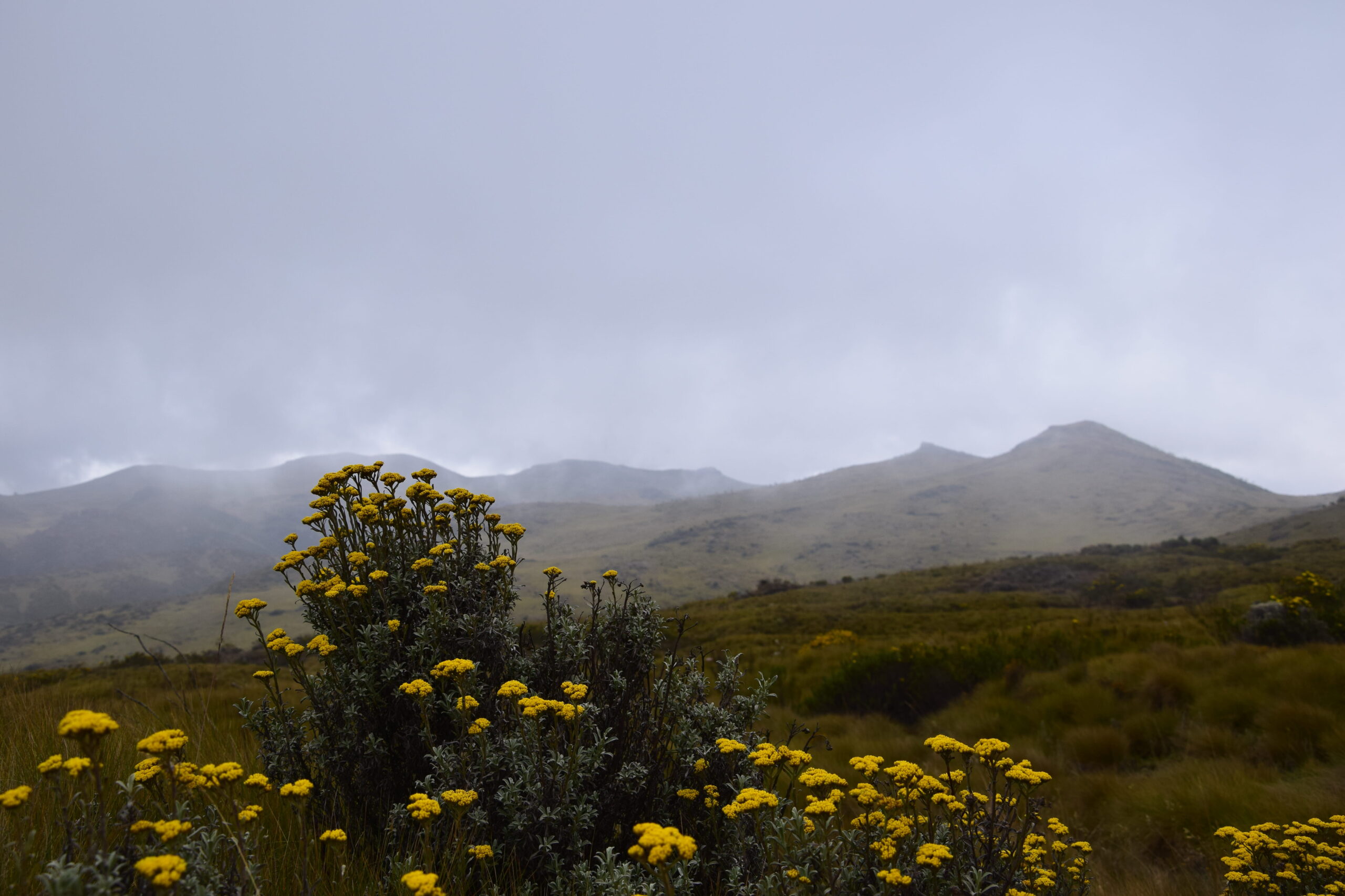 Aberdare Camping Bookings: Ultimate 4-Day Mountain Safari - Hike Satima, Explore Waterfalls & Spot Wildlife — photo 11