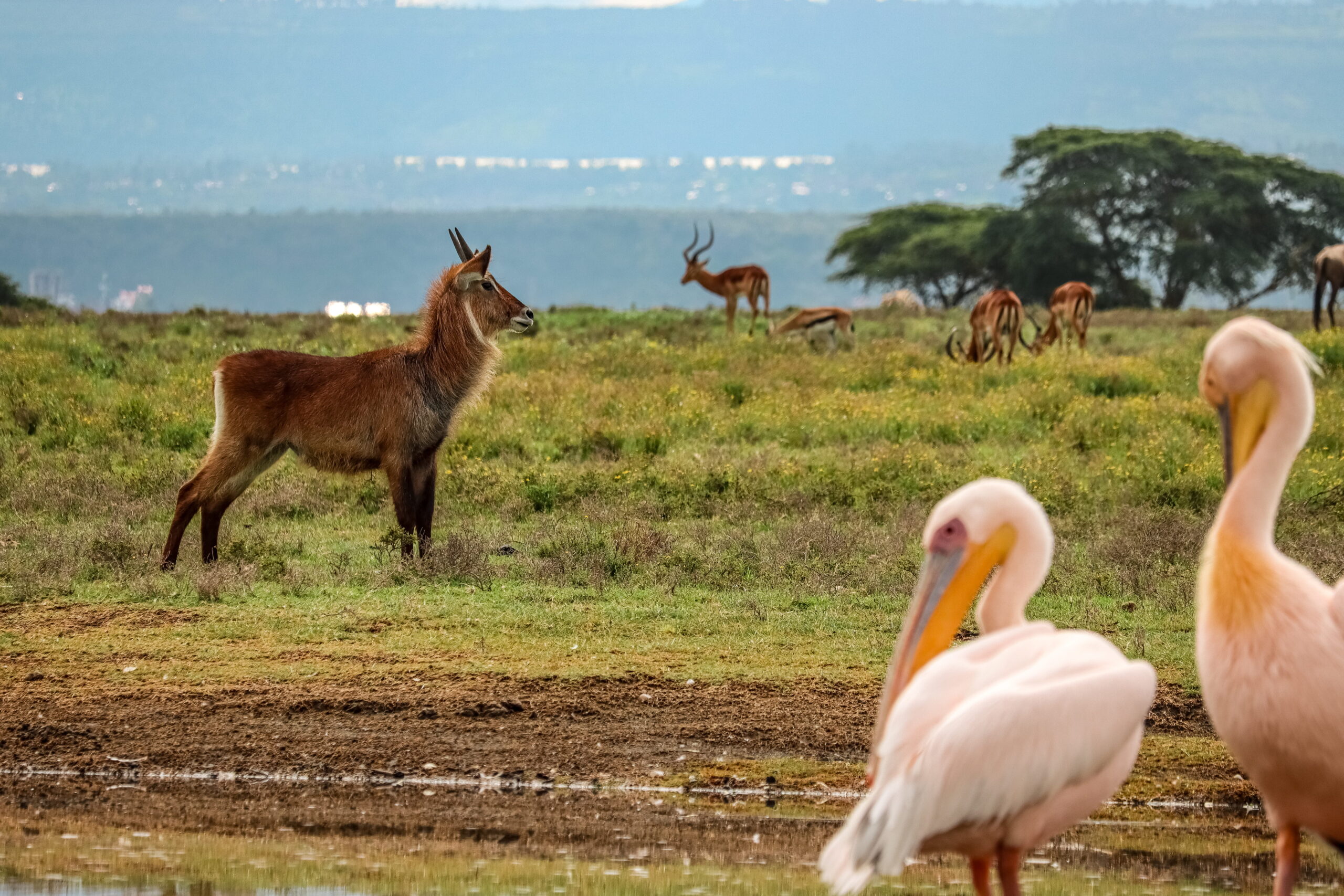 Hell's Gate Adventure with Rock Climbing Kenya: Thrilling 2-Day Cycling, Hiking & Camping Trip — photo 13