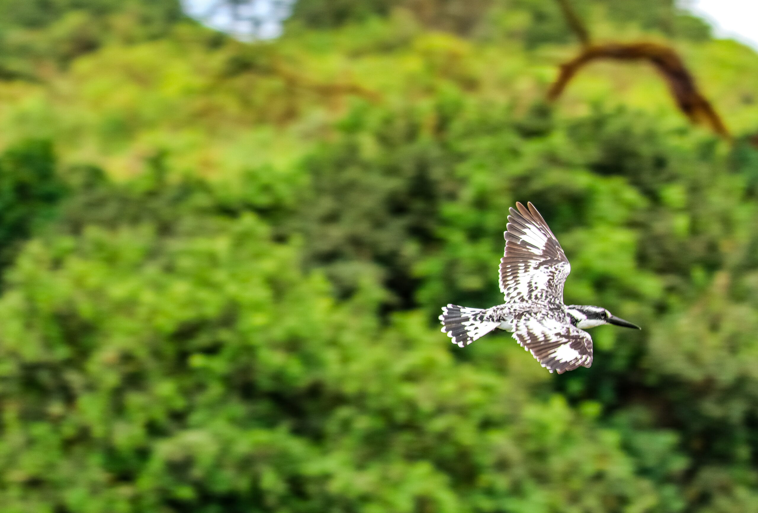 Mount Longonot Day Trip: Incredible 1-Day Adventure - Crater Hike & Lake Naivasha Boat Safari — photo 10