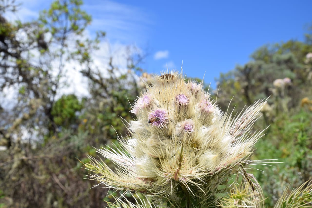 Best Day Hikes from Nairobi: Explore Elephant Hills on this 1-Day Adventure — photo 7