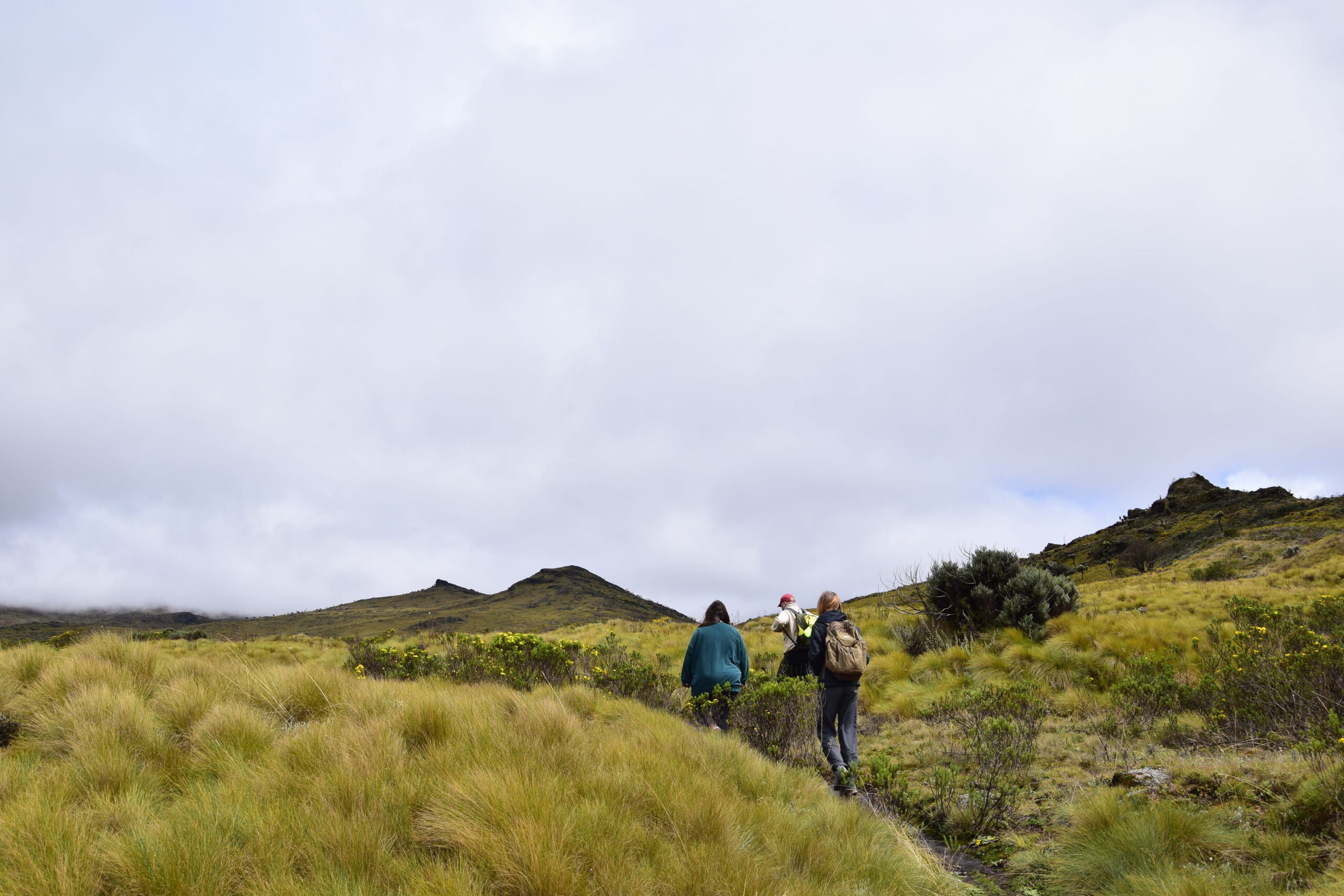 Aberdare Camping Bookings: Ultimate 4-Day Mountain Safari - Hike Satima, Explore Waterfalls & Spot Wildlife — photo 13