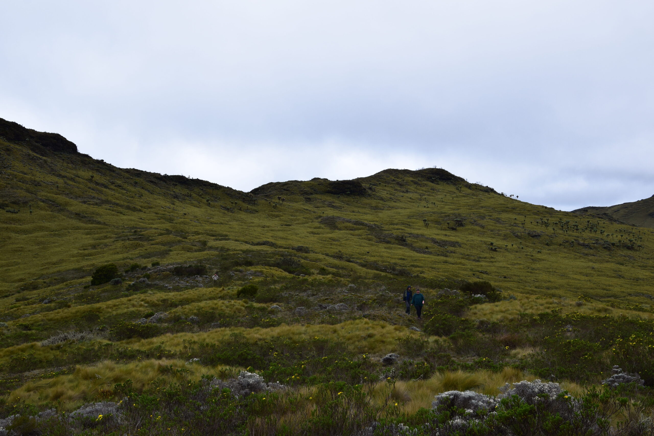 Mount Kipipiri & Table Mountain: Unforgettable 2-Day Trek Through Kenya's Hidden Mountain Paradise — photo 10