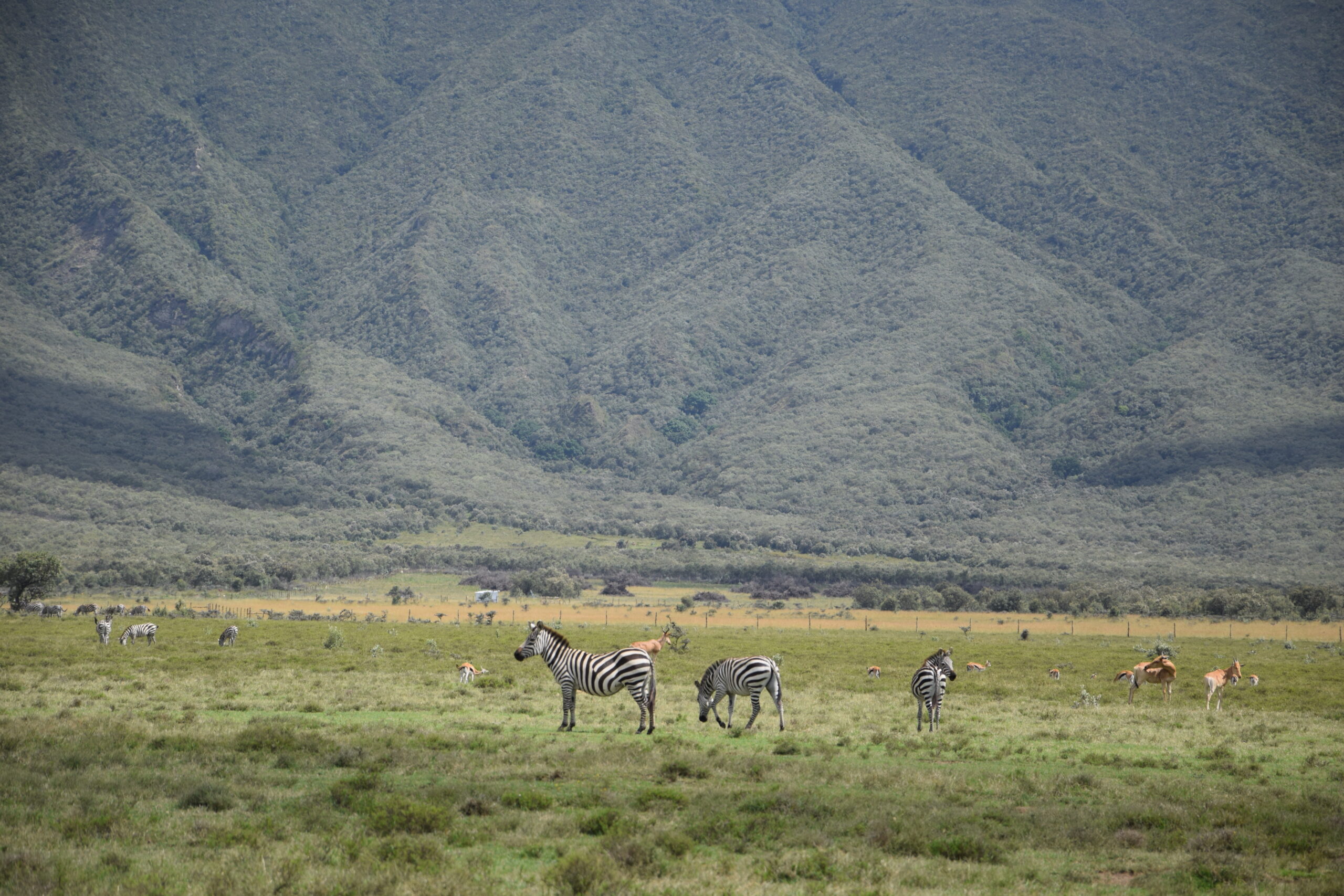 Mount Longonot Day Trip: Incredible 1-Day Adventure - Crater Hike & Lake Naivasha Boat Safari — photo 7