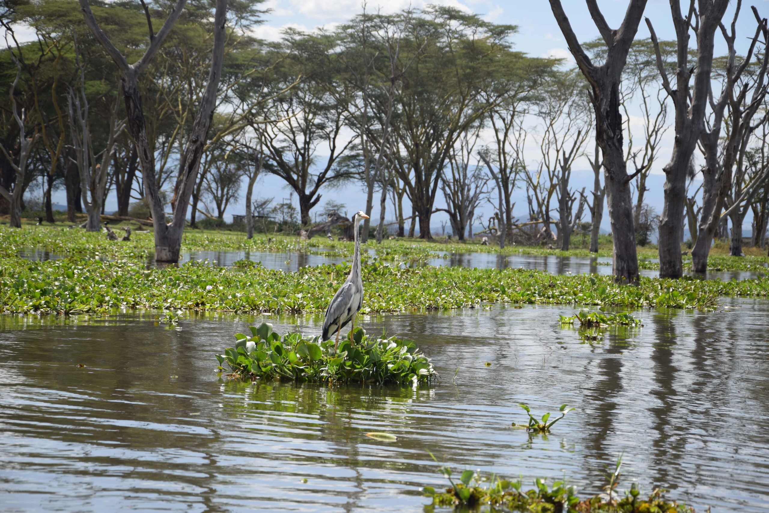 Lake Naivasha Kenya Safari: Unforgettable 4-Day Camping Trip - Hell's Gate, Crescent Island & Mt. Longonot — photo 12