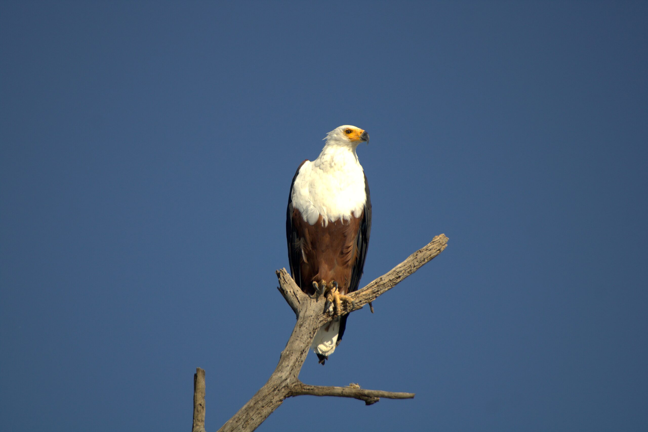 Horse Riding Safari Kenya: 5 Days at Kedong Ranch with Kayaking, Cycling and Hiking — photo 10