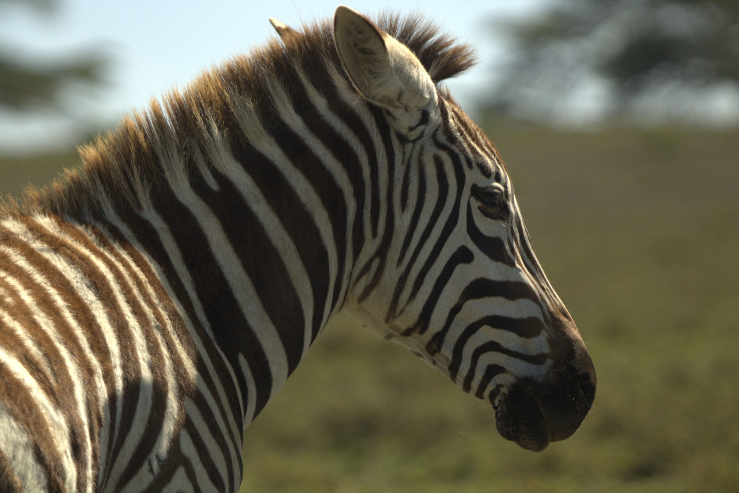 Hell's Gate Adventure with Rock Climbing Kenya: Thrilling 2-Day Cycling, Hiking & Camping Trip — photo 14