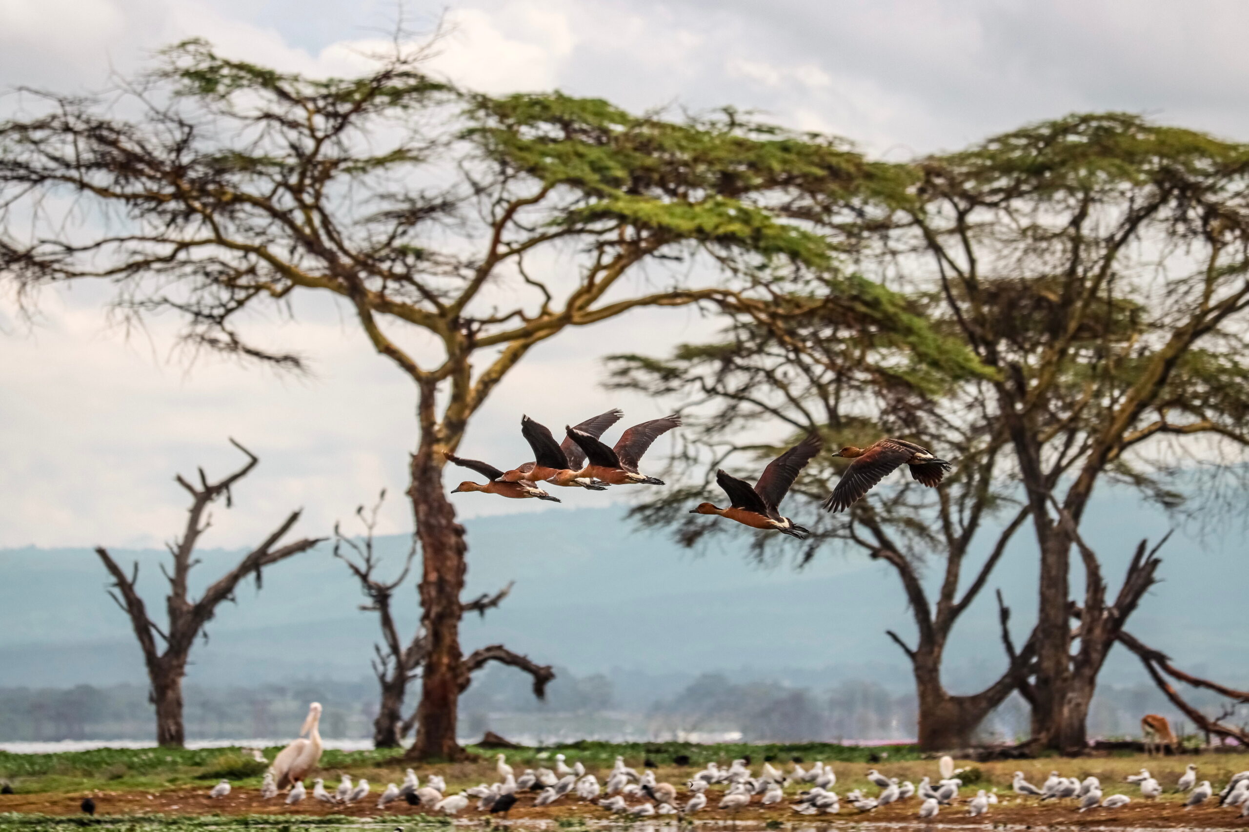 Horse Riding Safari Kenya: 5 Days at Kedong Ranch with Kayaking, Cycling and Hiking — photo 11