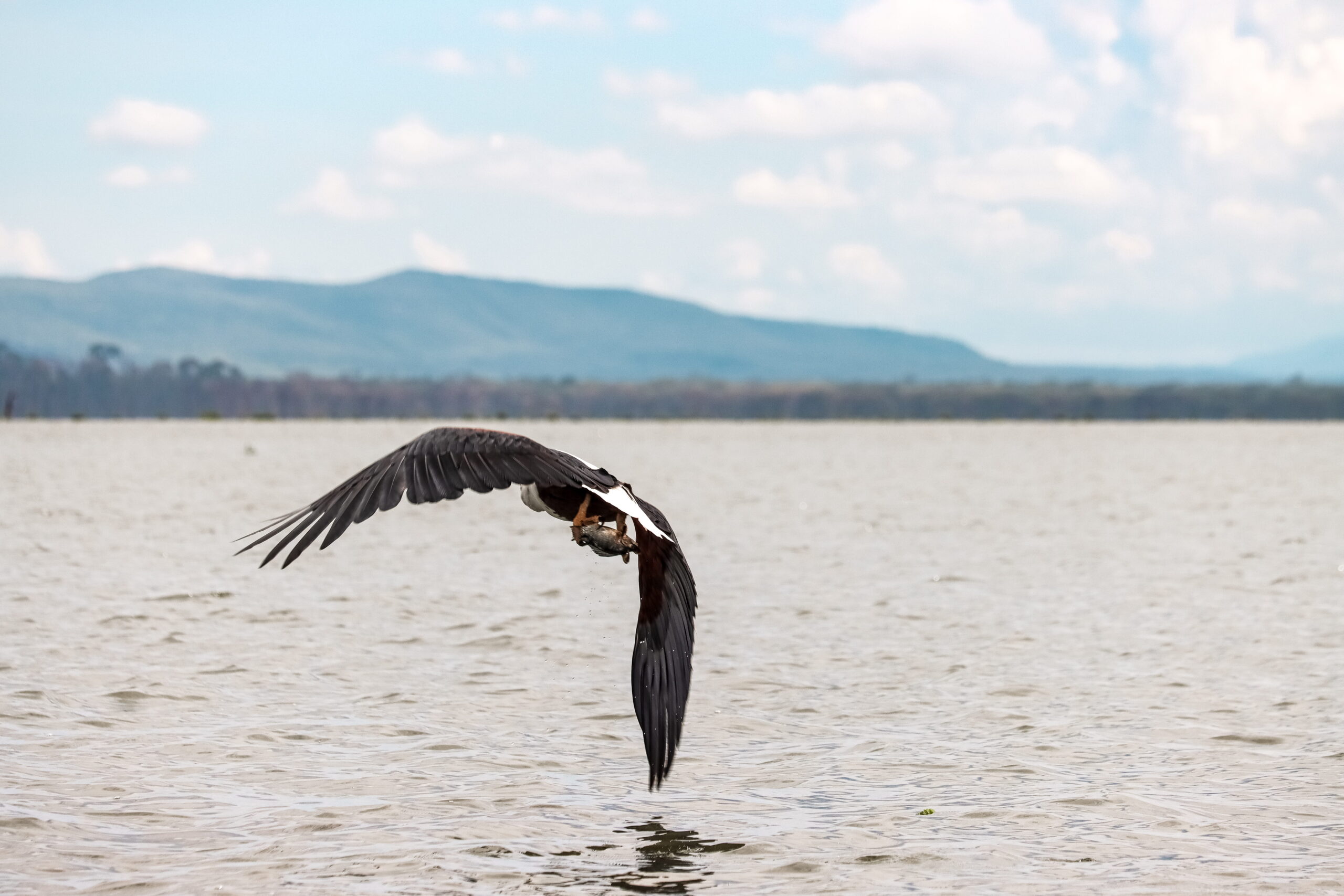 Mount Longonot Day Trip: Incredible 1-Day Adventure - Crater Hike & Lake Naivasha Boat Safari — photo 9