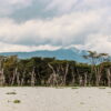 Lake Naivasha Kenya Safari: Unforgettable 4-Day Camping Trip - Hell's Gate, Crescent Island & Mt. Longonot