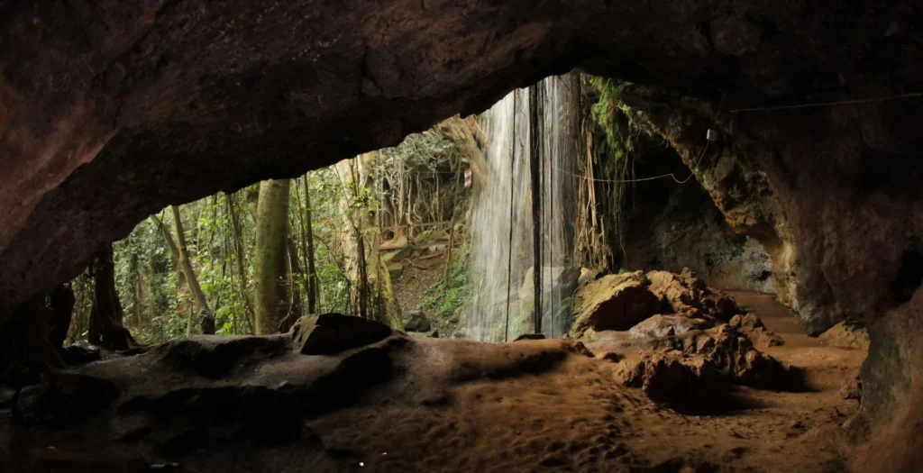 ragia forest mau mau caves