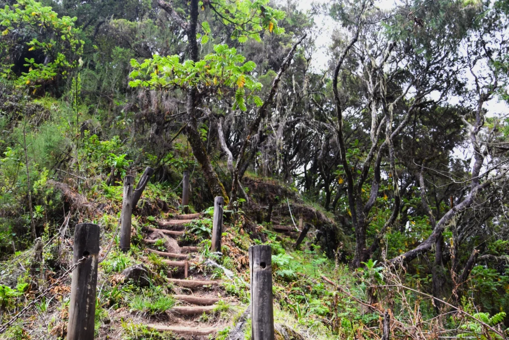 The Aberdares Trail