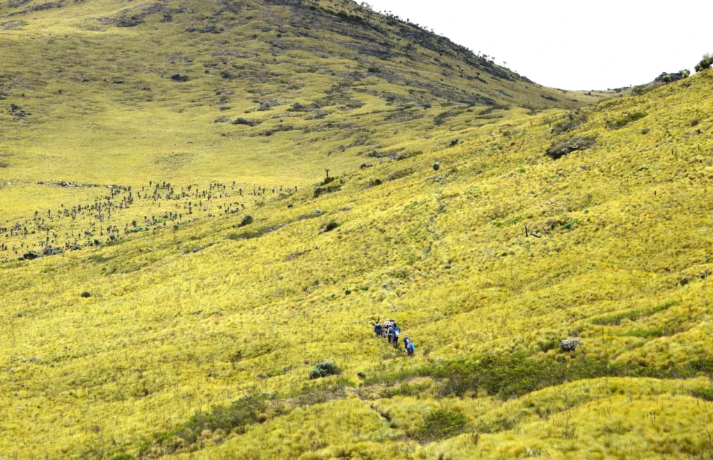 Hiking the Aberdares