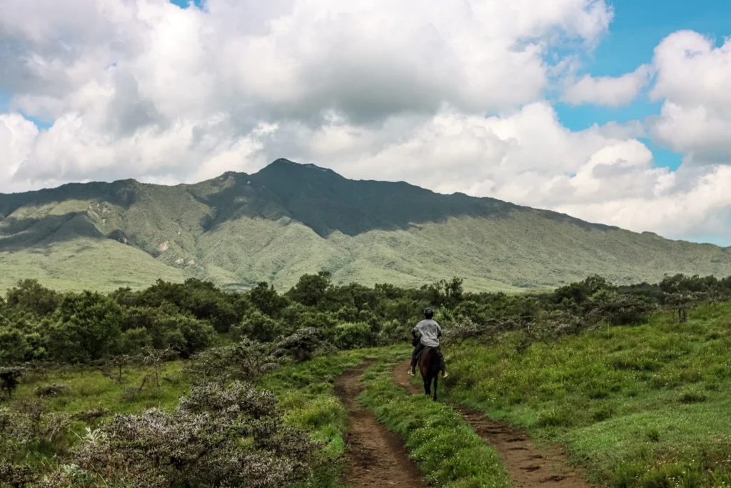 naivasha horse ridng